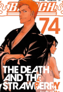 Bleach Manga Hindi